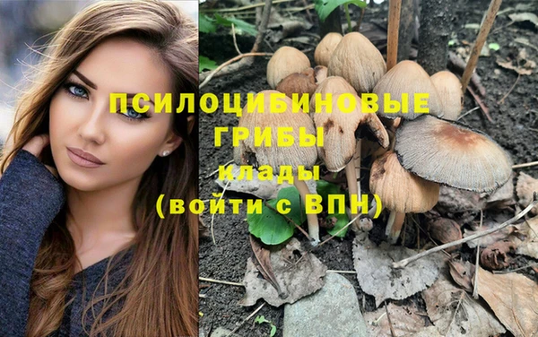 круглые Бронницы