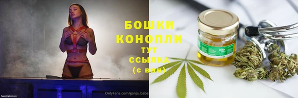 ECSTASY Горняк
