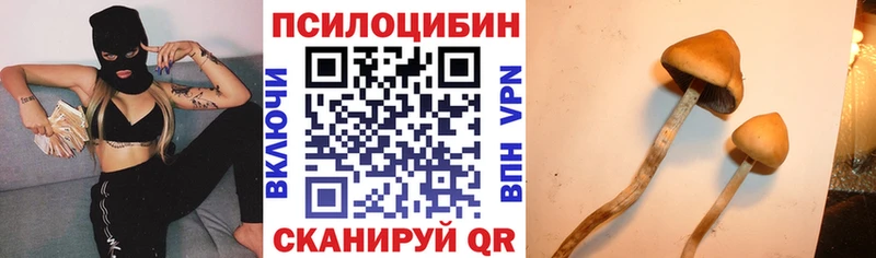 Купить  Похвистнево  Псилоцибиновые грибы GOLDEN TEACHER 